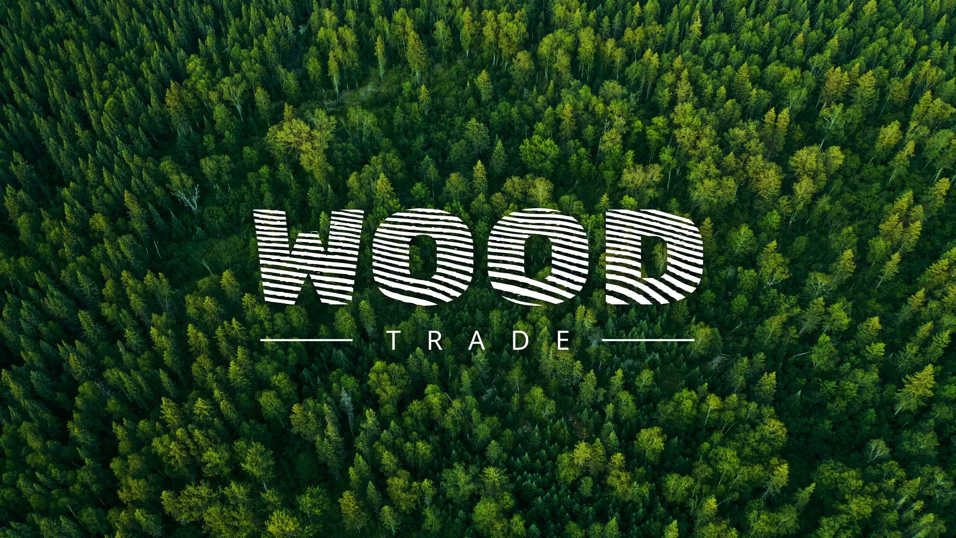 Разработка интернет-магазина компании «Wood Trade» в Звенигороде