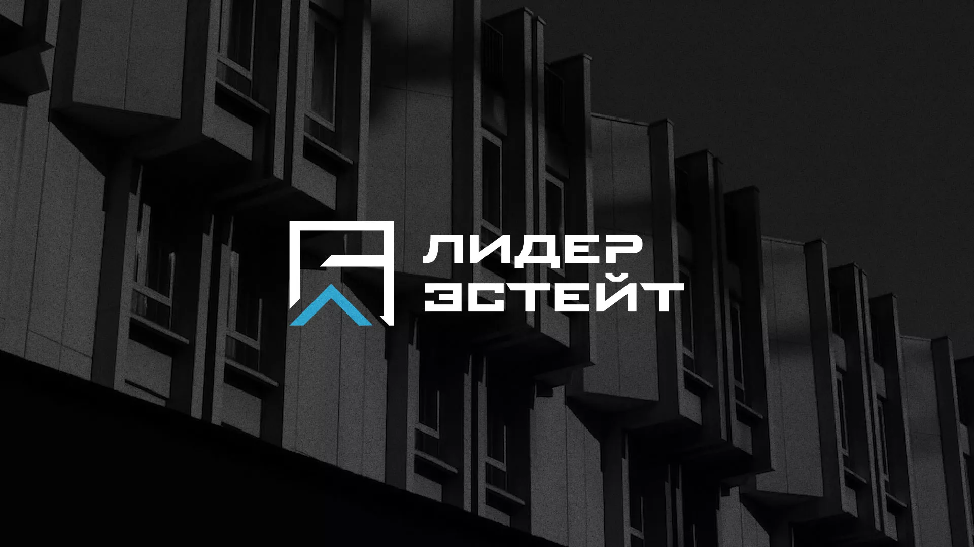 Разработка логотипа агентства недвижимости «Лидер Эстейт» в Звенигороде